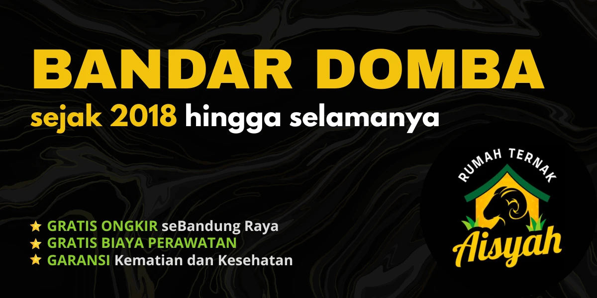 Rumah Ternak Aisyah